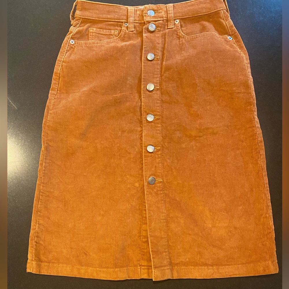 Everlane corduroy Skirt Sz 2